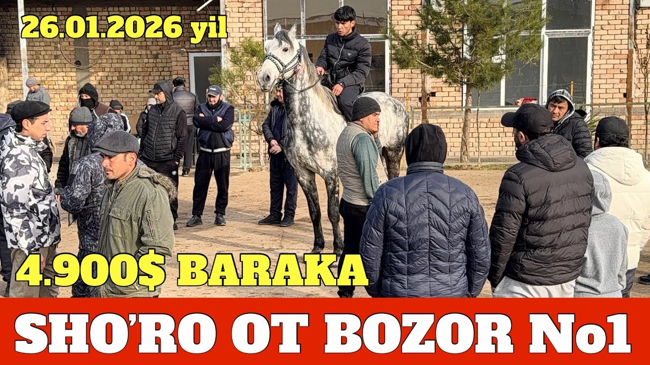 SHO’RO OT BOZOR 4.900$ OT SOTILDI. TOY GO’SHTI 88.000 SO’M BO’LDI ABAKAN BIYA TOYLA NARXLARI