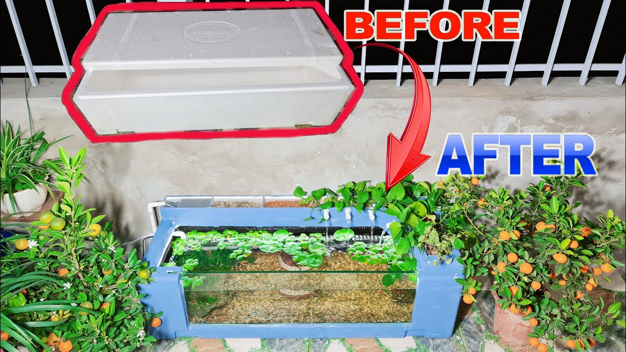 Chế Bể Cá 7 Màu Siêu Đẹp Từ Thùng Xốp Dài 1m2 Chơi Tết - Guppy Fish Tank with styrofoam box