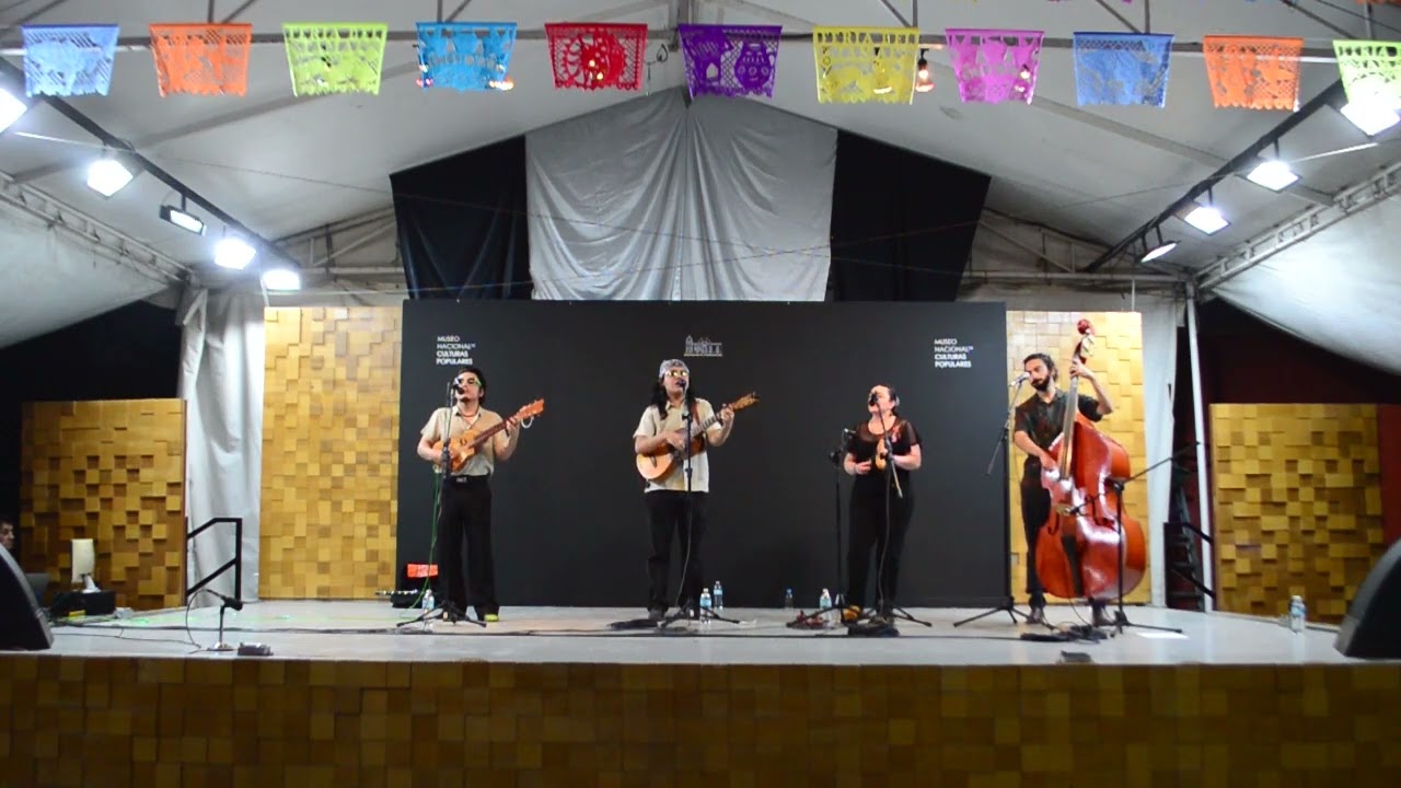 Noche de Museos con Alborada Son Jarocho