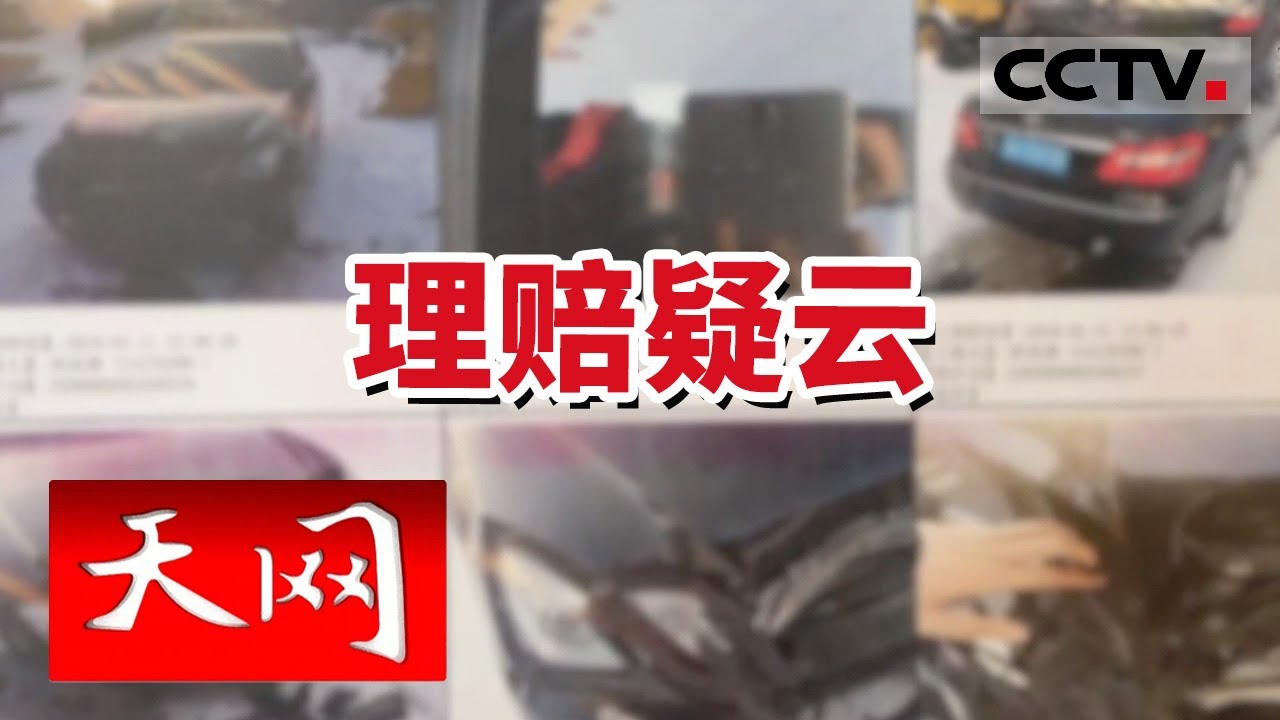 《天网》上百起骗保案件浮出水面 嫌疑人为何如此肆无忌惮 20240130 | CCTV社会与法