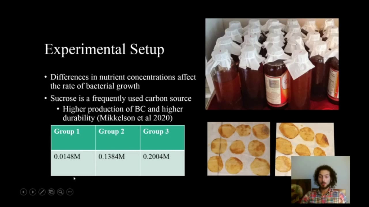 Kombucha Leather Durability: Sugar Concentration's Effect on Bacterial Cellulose