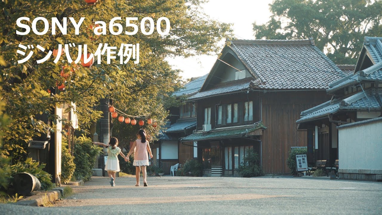【ジンバル作例】水・探・遊（SONY α6500 PILOTFLY H2-45R）