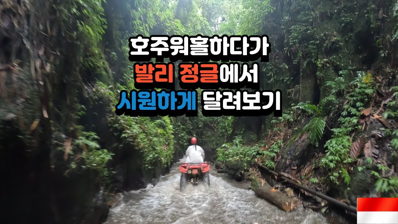 호주워홀하다가 갑작스러운 인도네시아 발리 정글투어[下]-세계여행(7)