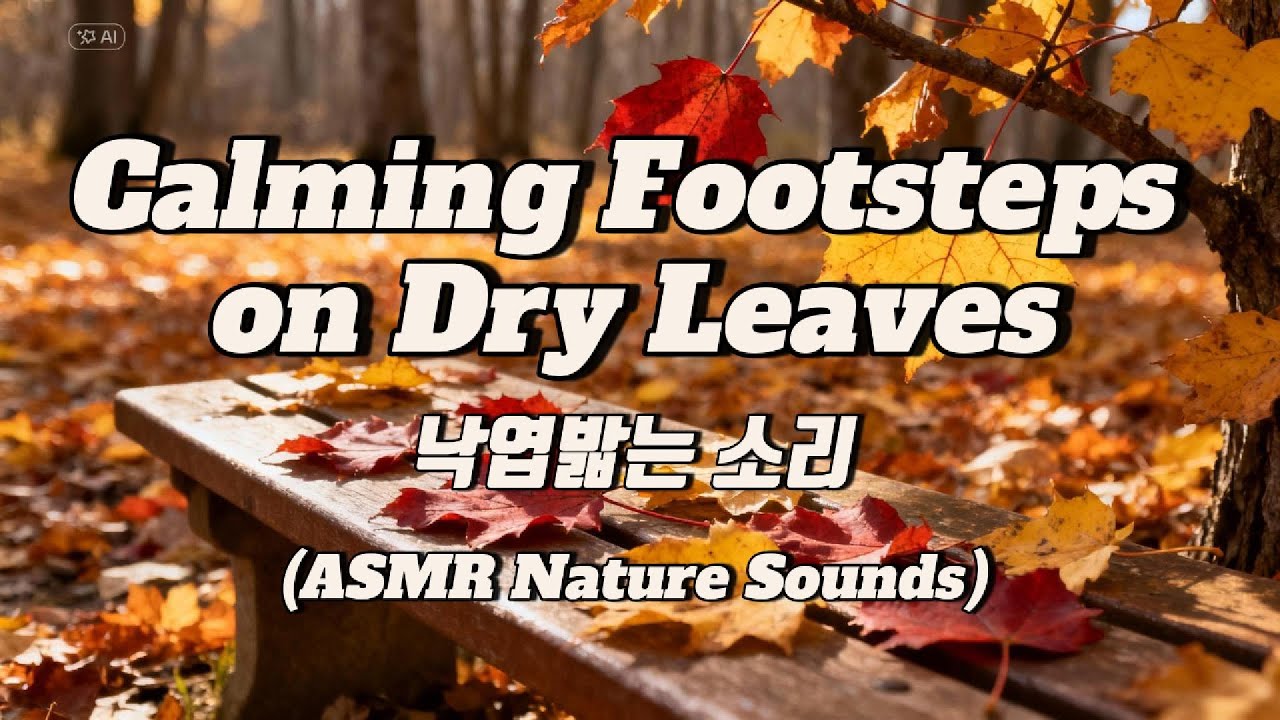 Calming Footsteps on Dry Leaves(낙엽 밟는 소리)