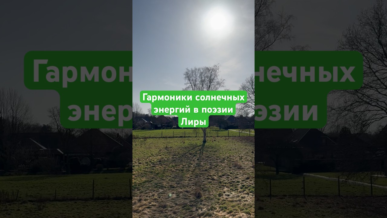 Коды света 12 лучей творения.