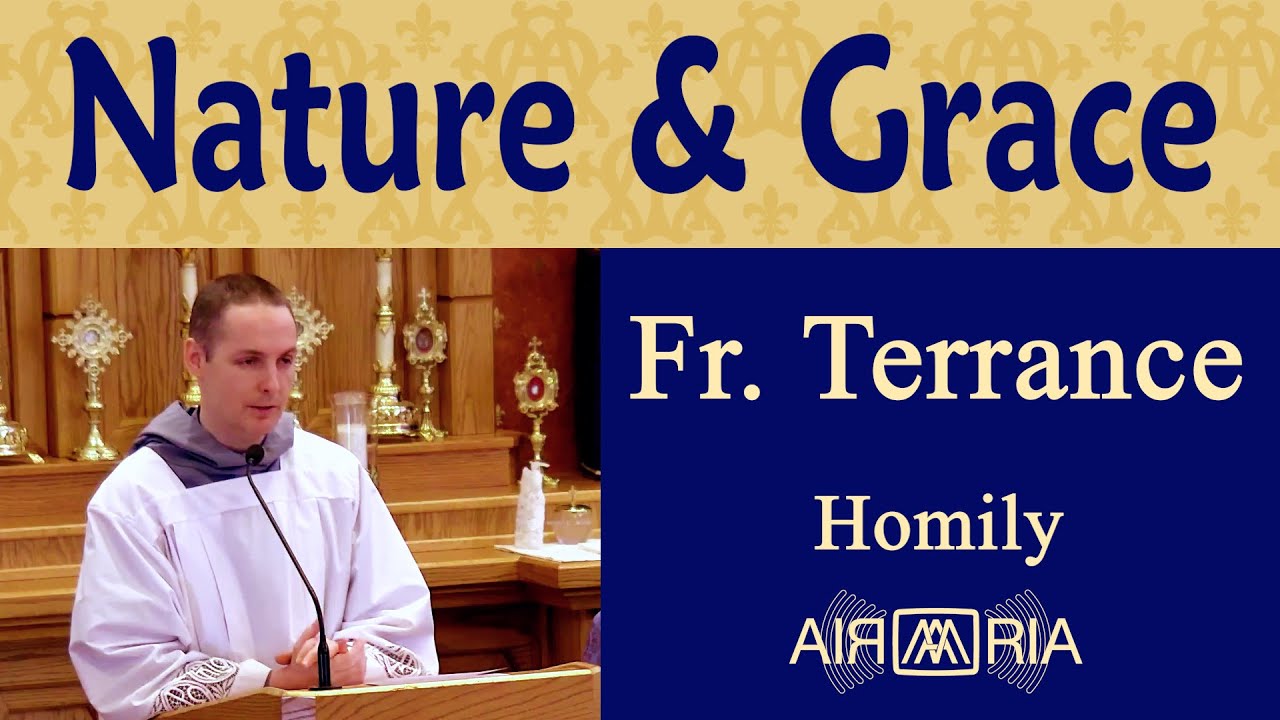 FS #64: Man in Franciscan Spirituality, Part 19 - Feb 13 - Homily - Fr Terrance
