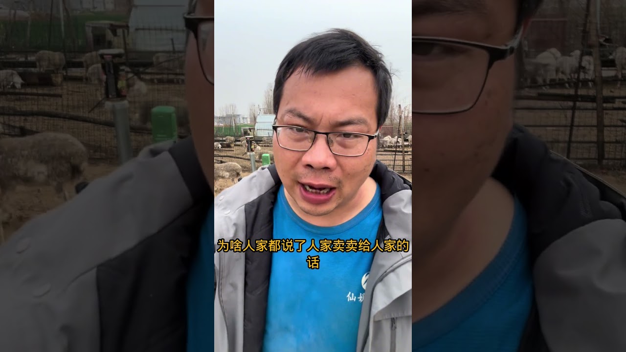 现在养羊能赚钱的，都是什么人？ #养羊人 #养殖人加油 #主打的就是一个真实 #自繁自养 #实在人说实在话