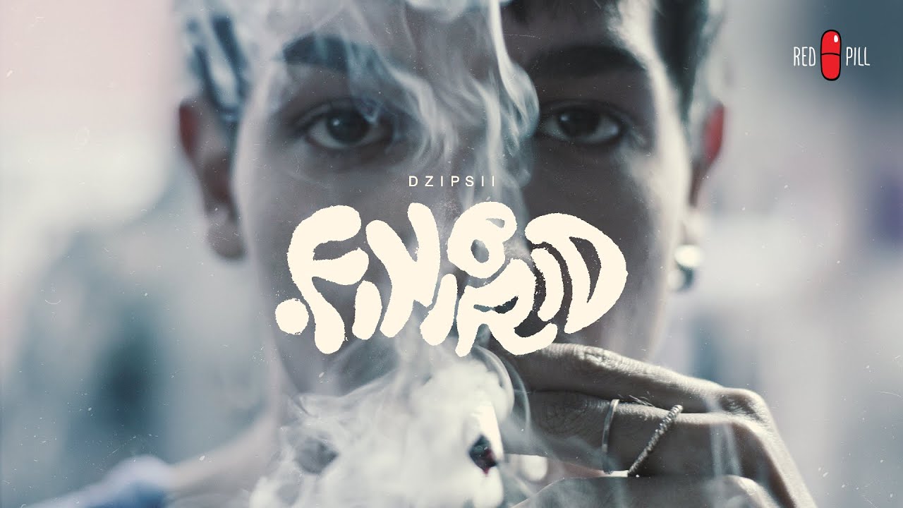 Dzipsii - Finibrid (Official Video)