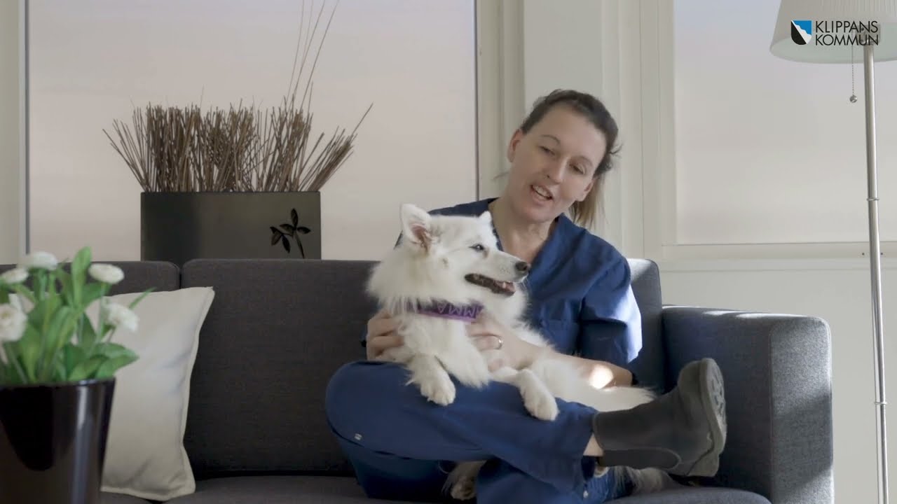 Vårdhund i Klippans kommun