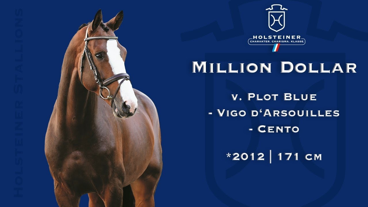 Holsteiner Verbandshengste 2023 | Million Dollar