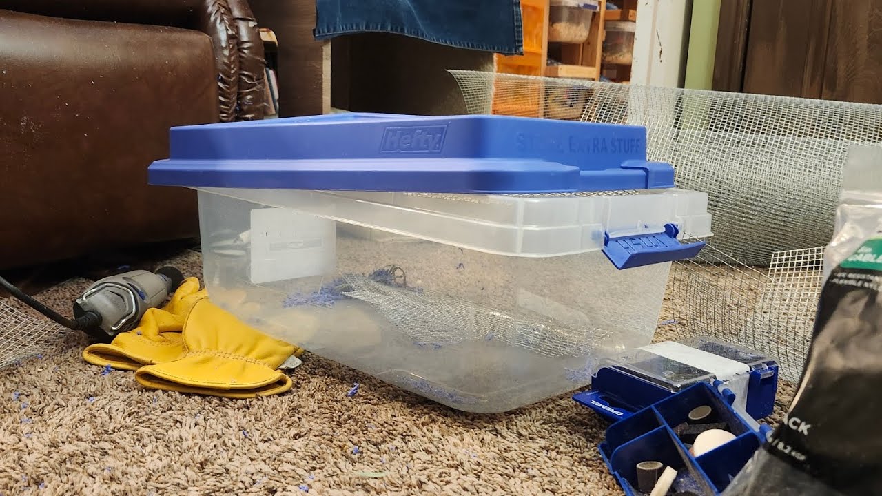 How to Build Bin Cages For Fancy Mice -- tips and tricks for mouse breeders or pet owners