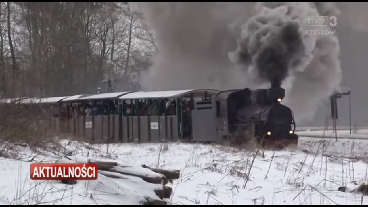 Bieszczadzka Forest Railway (Bieszczadzka kolejka leśna)