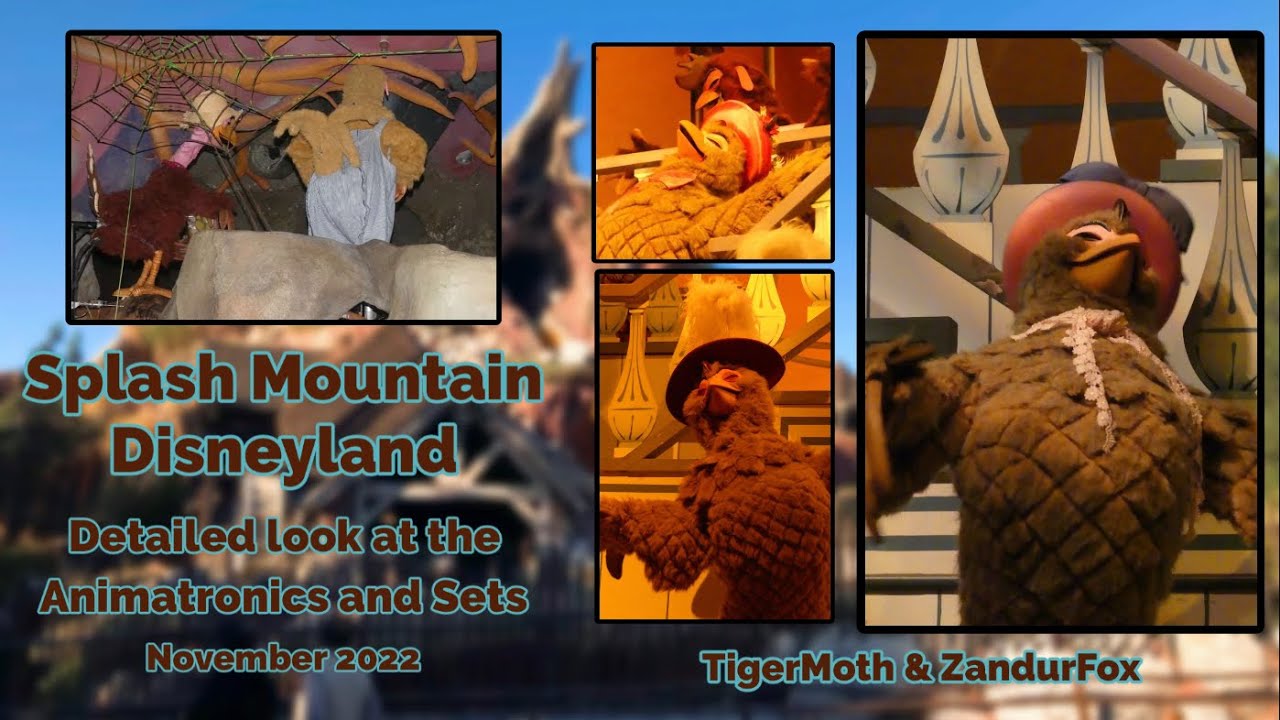 Splash Mountain Disneyland | Multi-Angle Animatronics POV (November 2022)