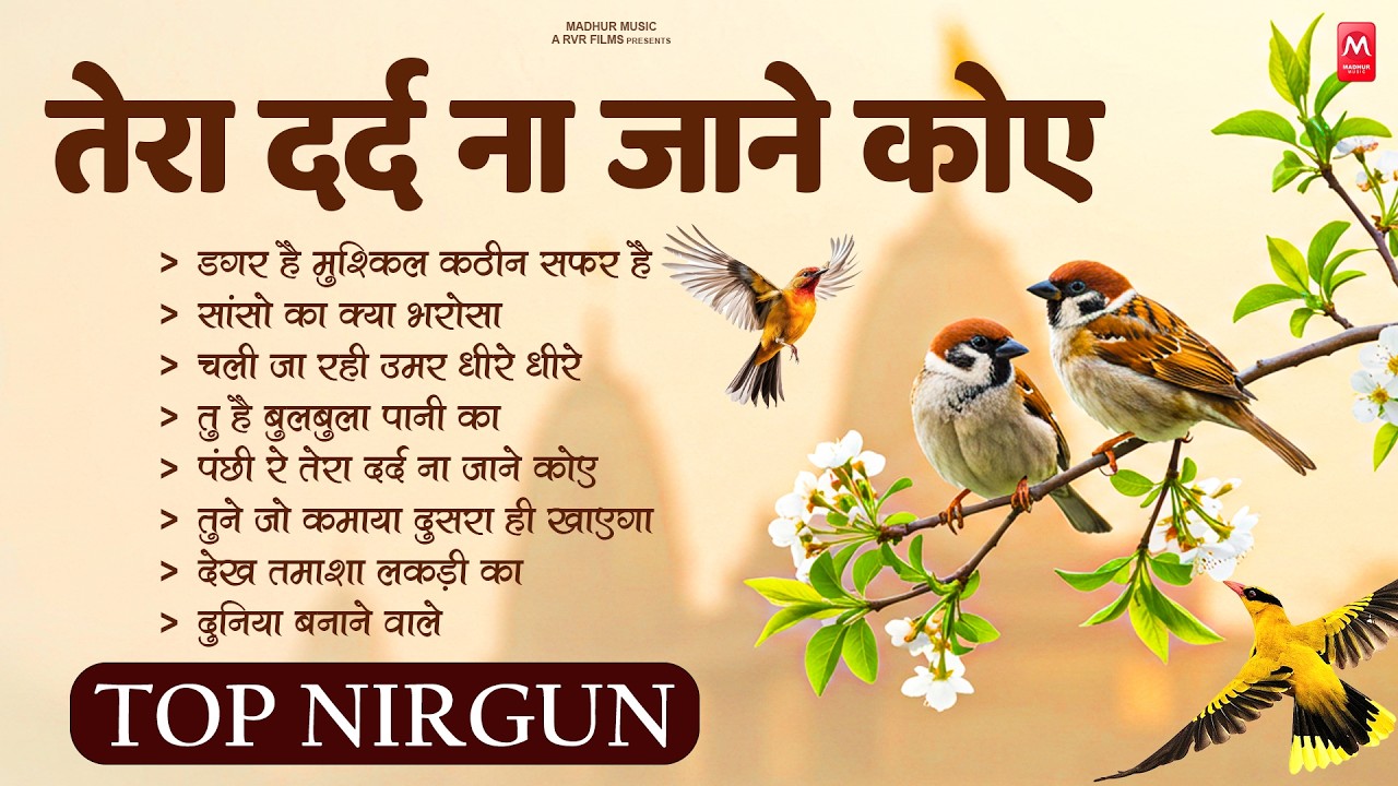 तेरा दर्द ना जाने कोए - निर्गुण भजन | Nonstop Nirgun Geet | Chetawani Bhajan 2026 | Nirgun Bhajan