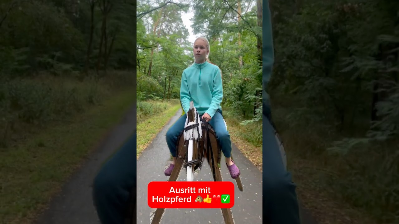 Ausritt mit Holzpferd #holzpferd #woodenhorse #reiten #horse #equestrian #pony #ausritt #viral #kht