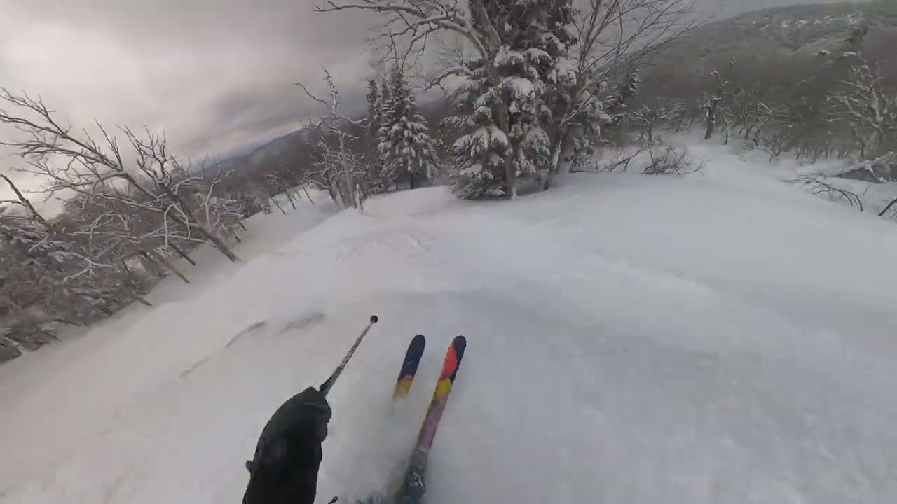 Snowy and Windy at Bolton Valley