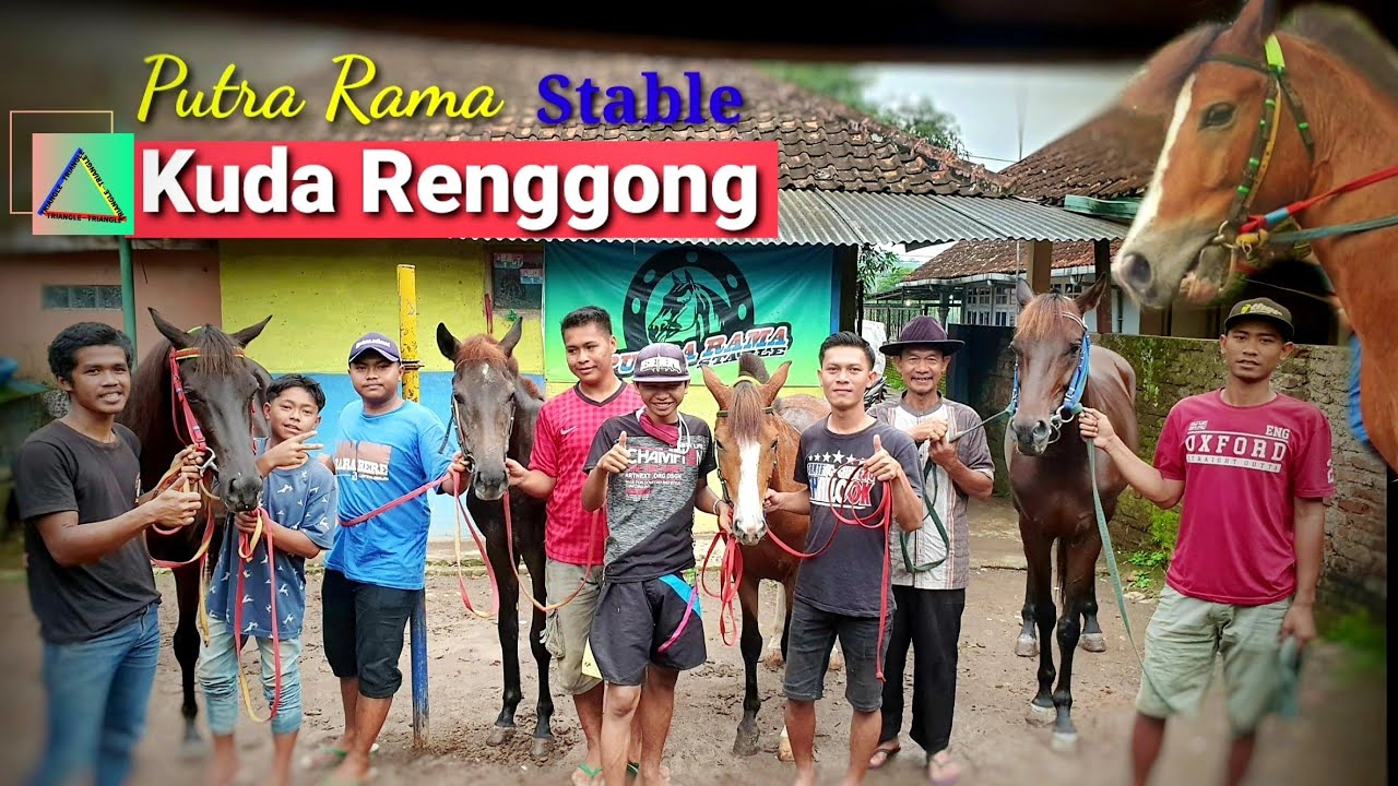KUDA RENGGONG PUTRA RAMA STABLE | Dancing Horse