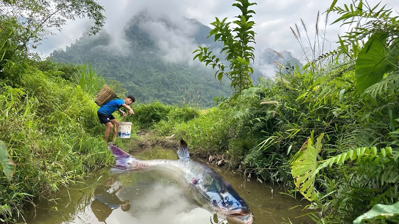 Traditional Fishing Skills | Boy Builds Dam and Releases Water to Catch Giant Carp.
