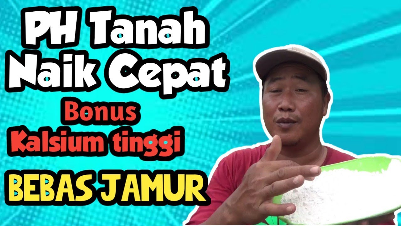 Menaikan PH Tanah dan Menambah Kalsium secara Cepat