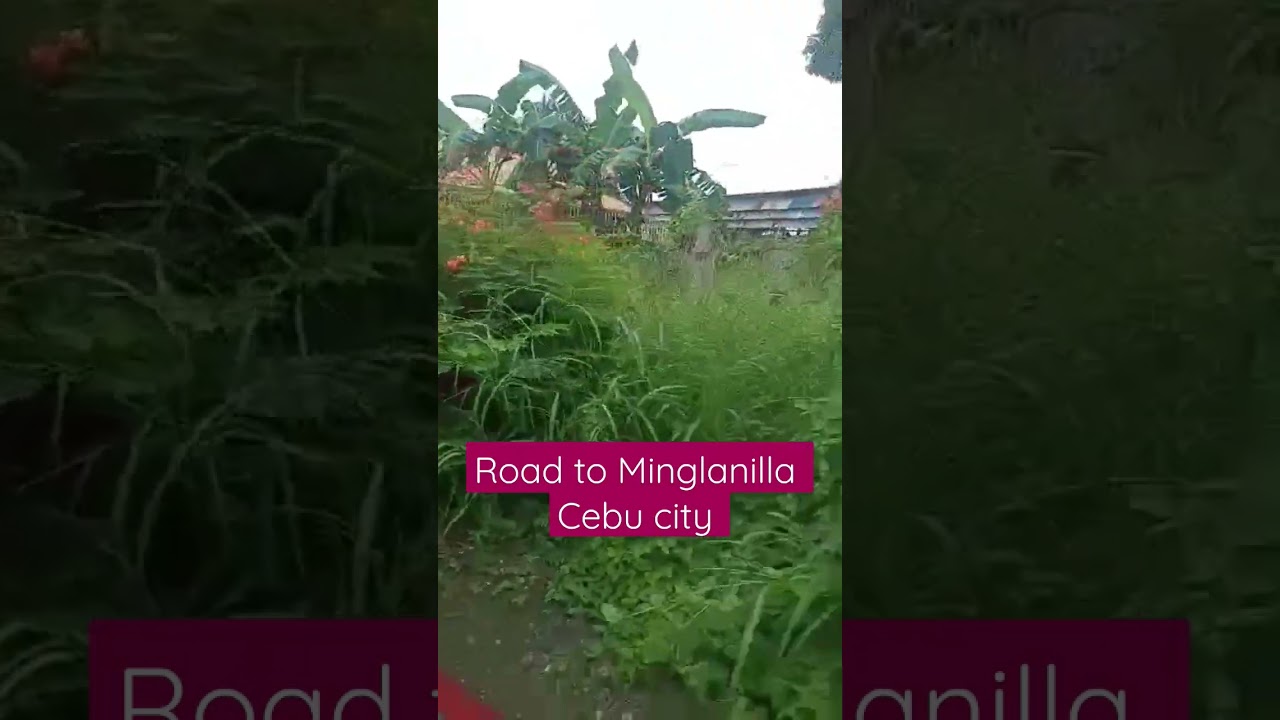 Minglanilla Cebu city Philippines