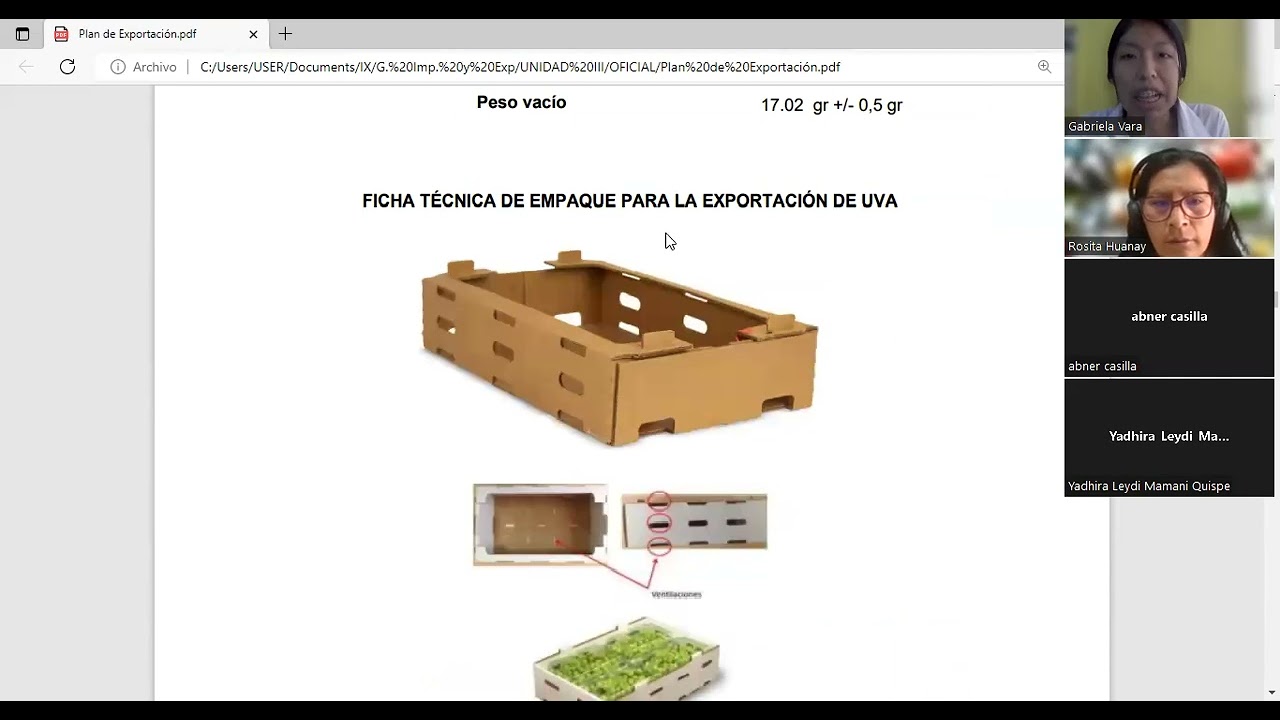 Plan de Exportación de Uvas Frescas al mercado de Estados Unidos