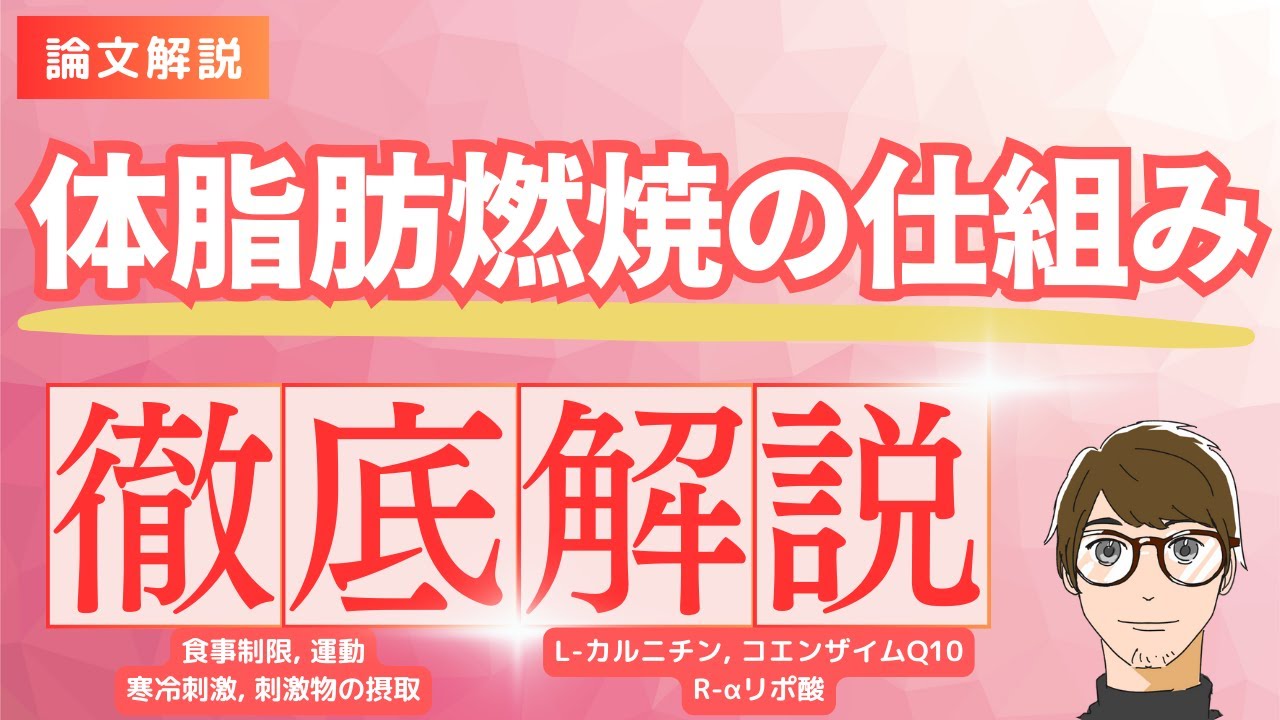 【体脂肪燃焼の仕組みを徹底解説！】体脂肪燃焼のコツと体脂肪燃焼をサポートするサプリ【脂肪燃焼サプリ3選！】