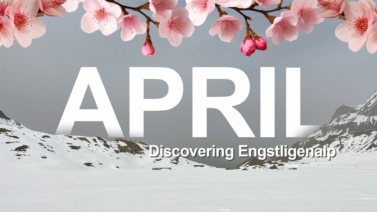 Is it April? Finding snow in Engstligenalp while the whole of Switzerland is in bloom. 4K