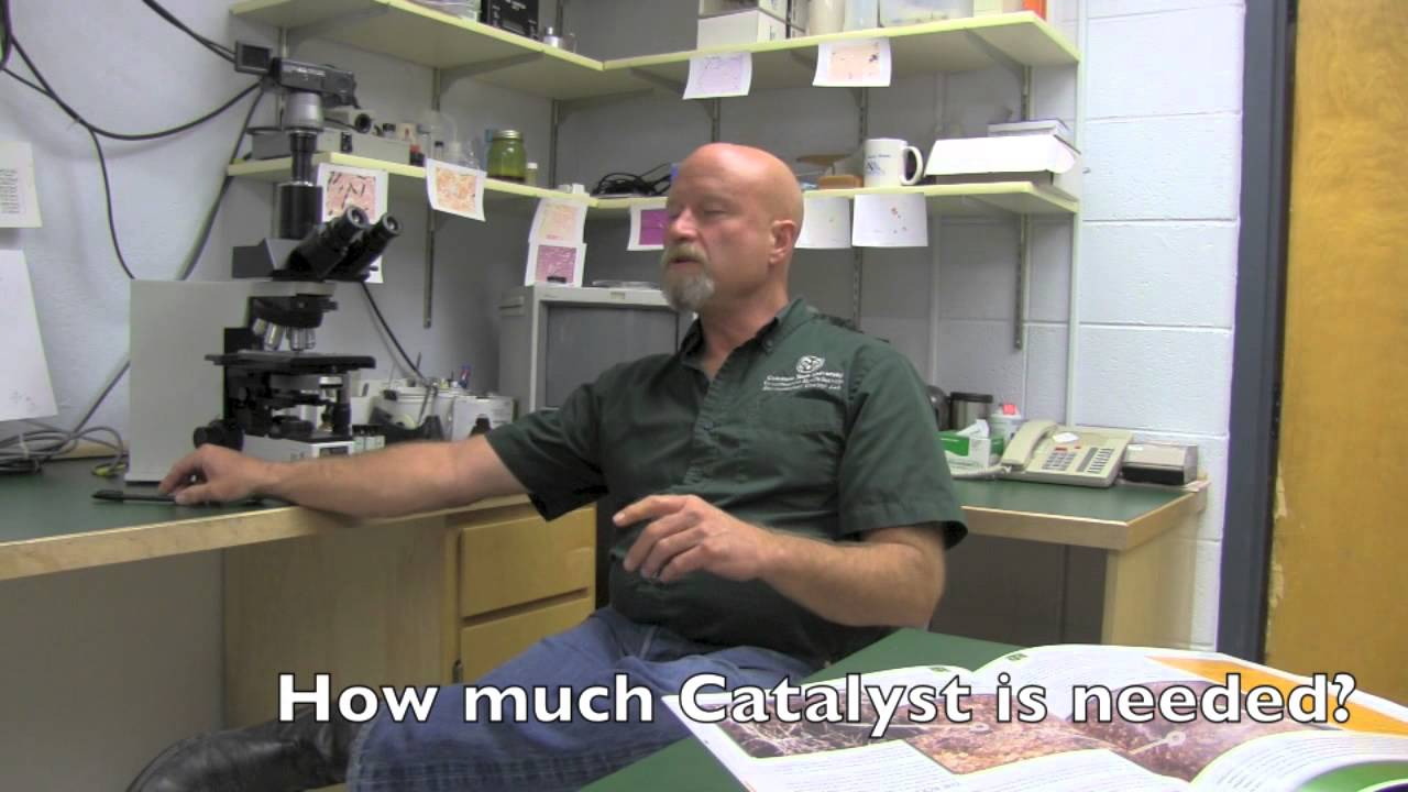 Biosolids Composting Science