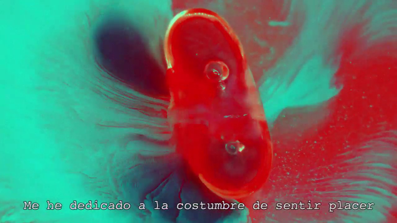 SIETE CUARTOS ◭ 7/4 ◭ GARBA ZENTO ◭ [ LETRA ]