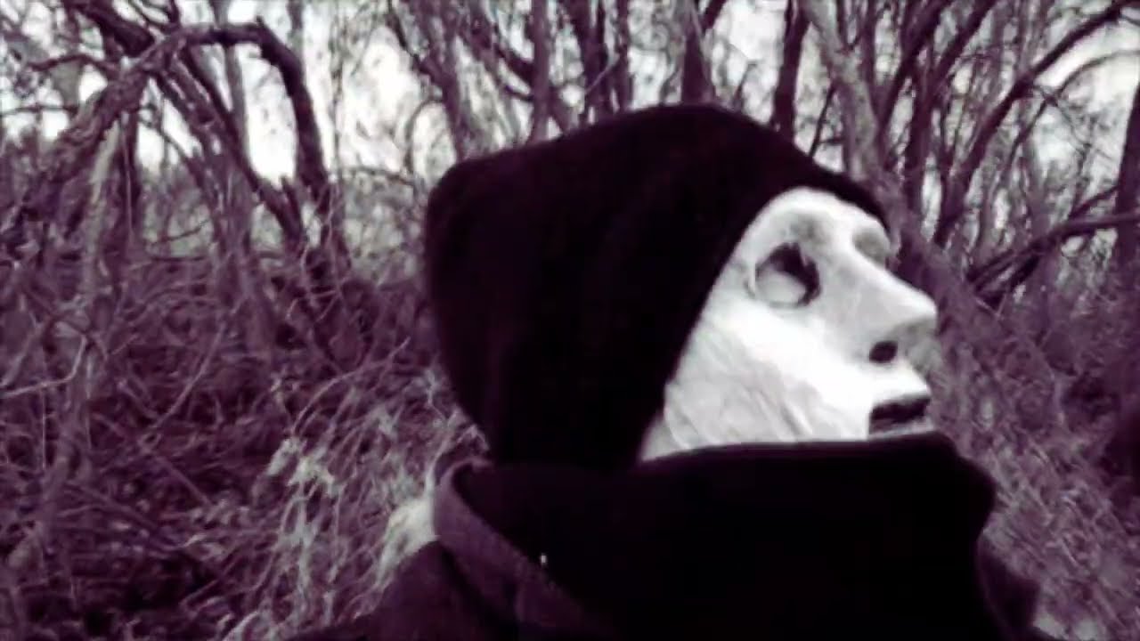Moth Mask