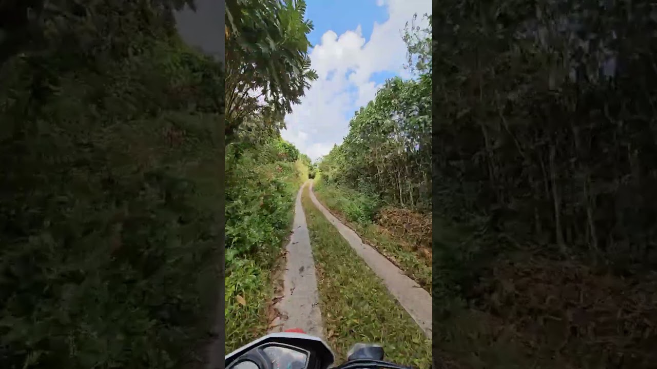 Ruta de cantón el mojón a tepecoyo #Tepecoyo  