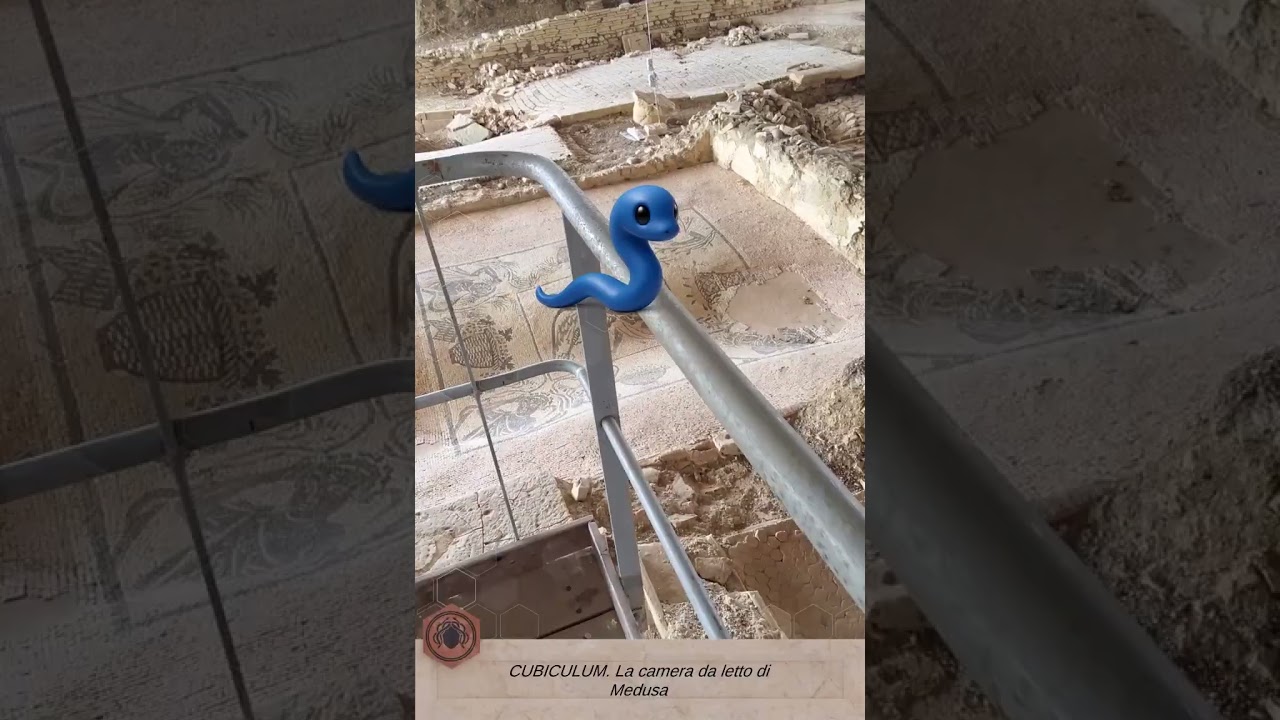 Suasa AR esperienza completa