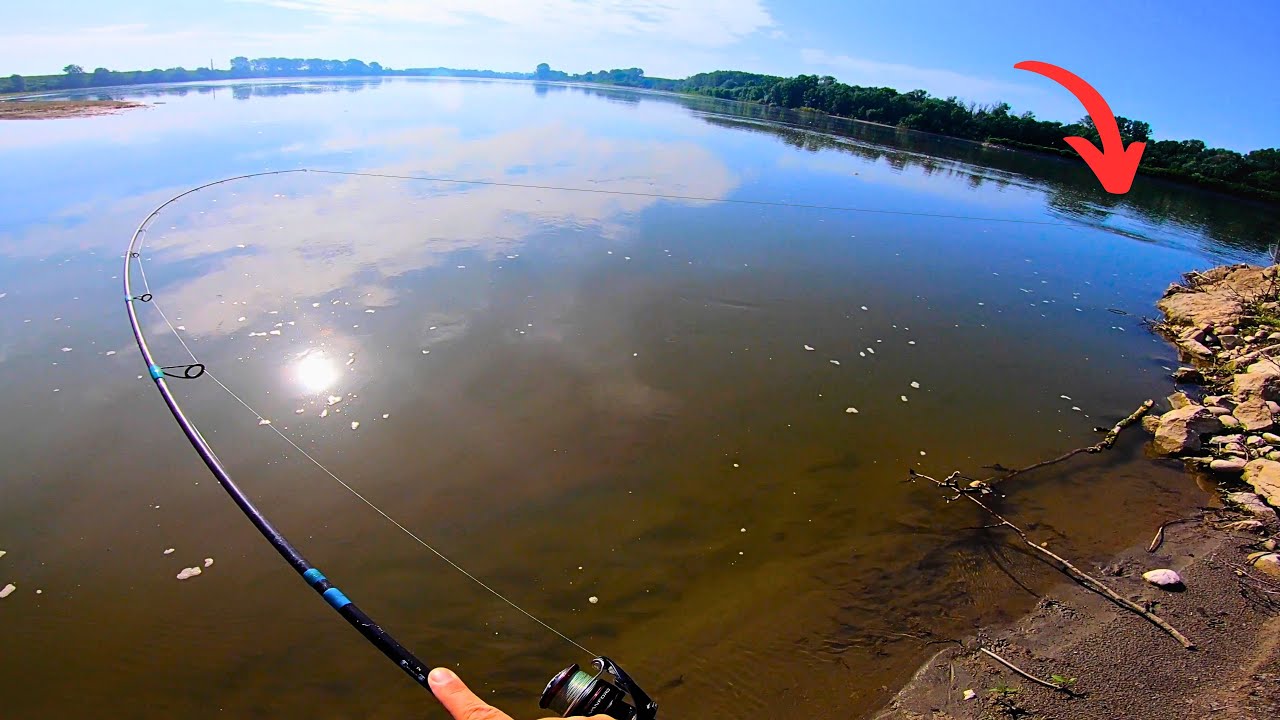 Summer Spinning on PO River