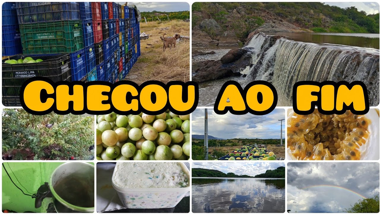 Fim da Safra do Maracujá 🍋 | Vida Real na Roça, Sobremesa Simples e Rio