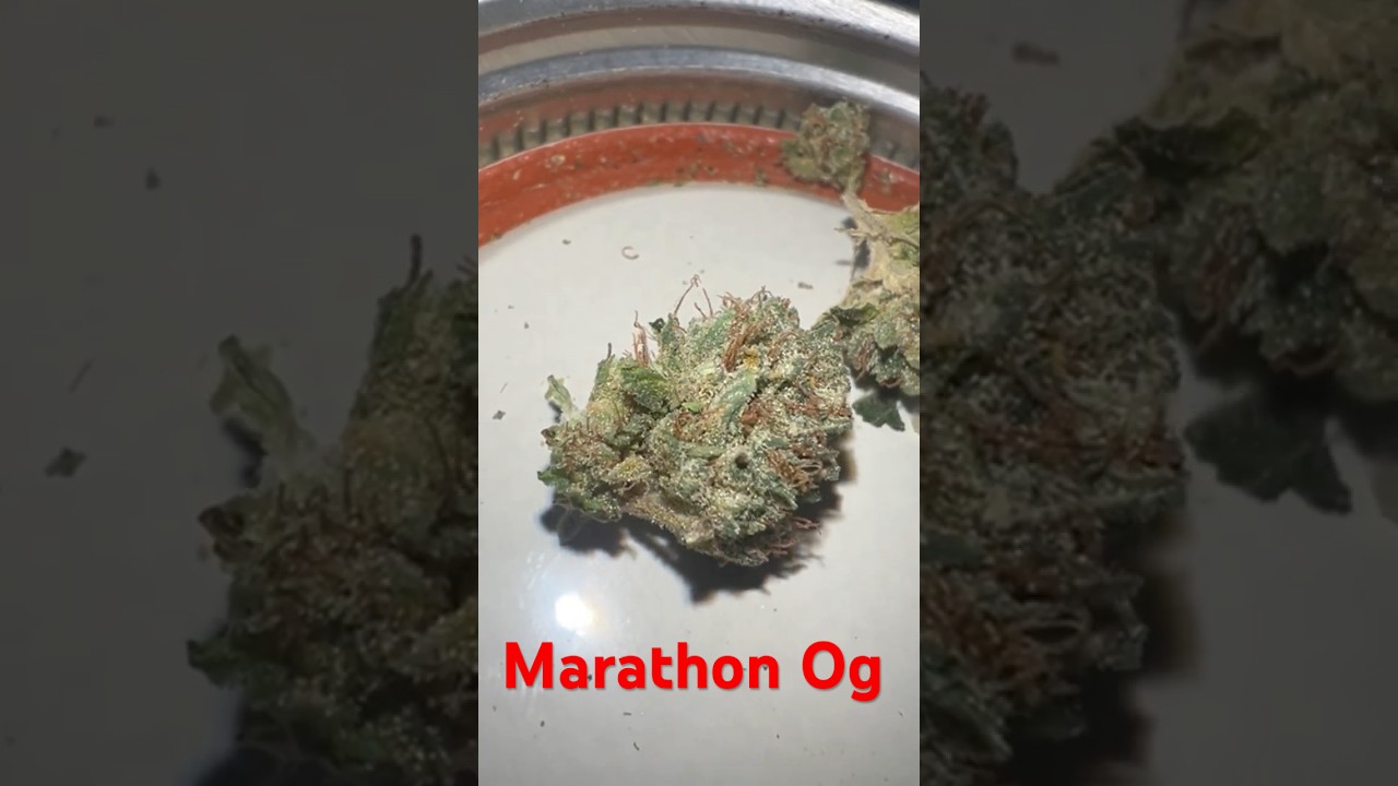 Marathon og strain review