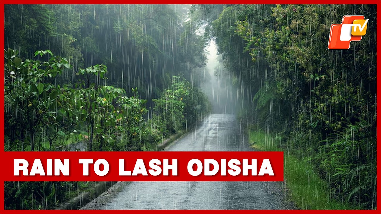 Rain To Lash Odisha For Two Days From Tomorrow Under Low-Pressure Influence  | OTV
