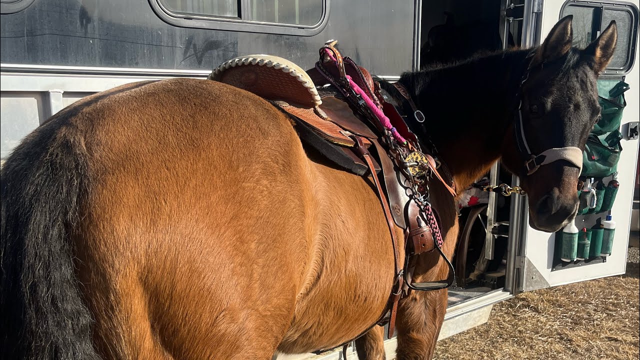 Spend the day at a rodeo with me ￼
