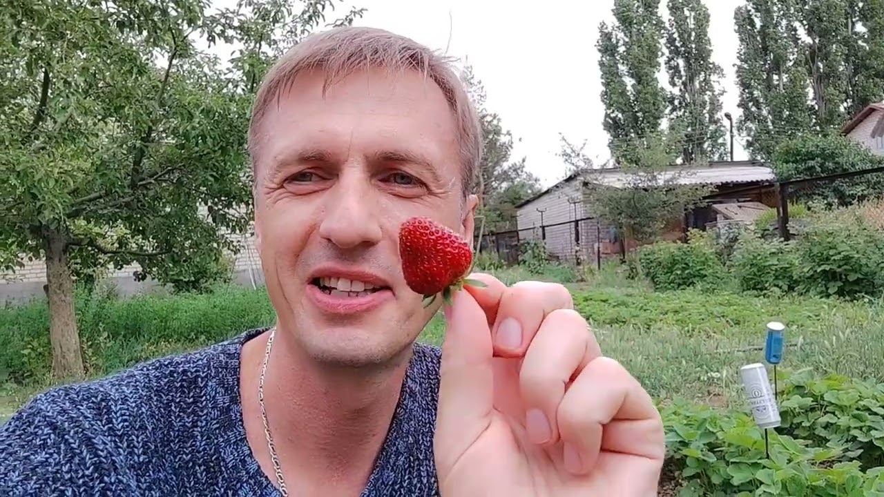 Первый день лета и не реальное цветение в деревне Волгоградской области в жару
