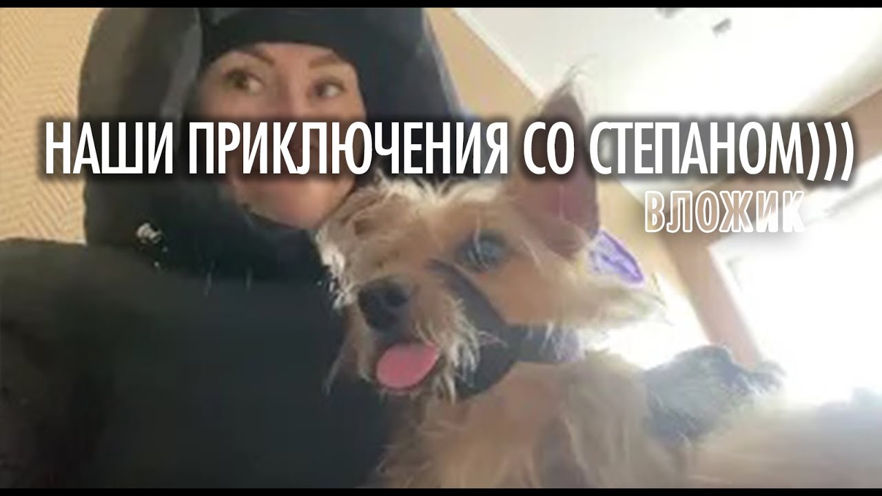 Наши приключения со Степаном)))