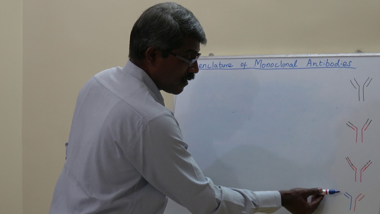 Nomenclature of monoclonal antibody