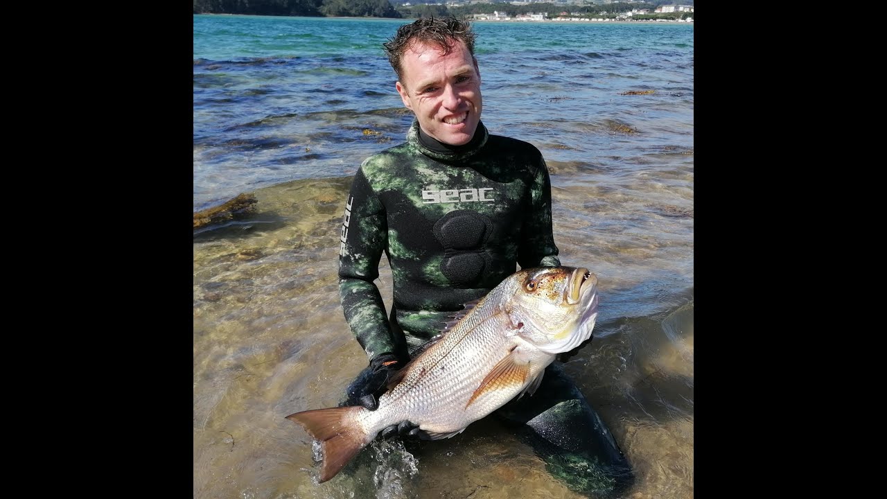 En busca de dentones 2020. Pesca submarina en el mar cantabrico. Aketza Alvarado 