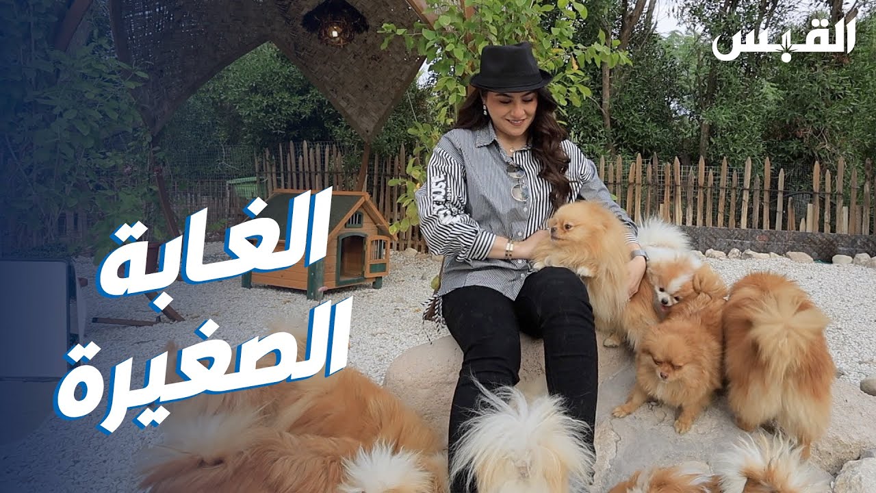 بيبي وزيارتها للغابة الصغيرة في منطقة الصليبية