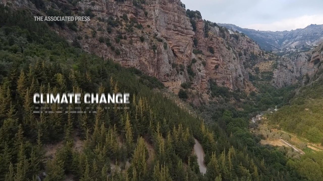 Lebanon's Christians feel the heat of climate change in sacred forest and valley