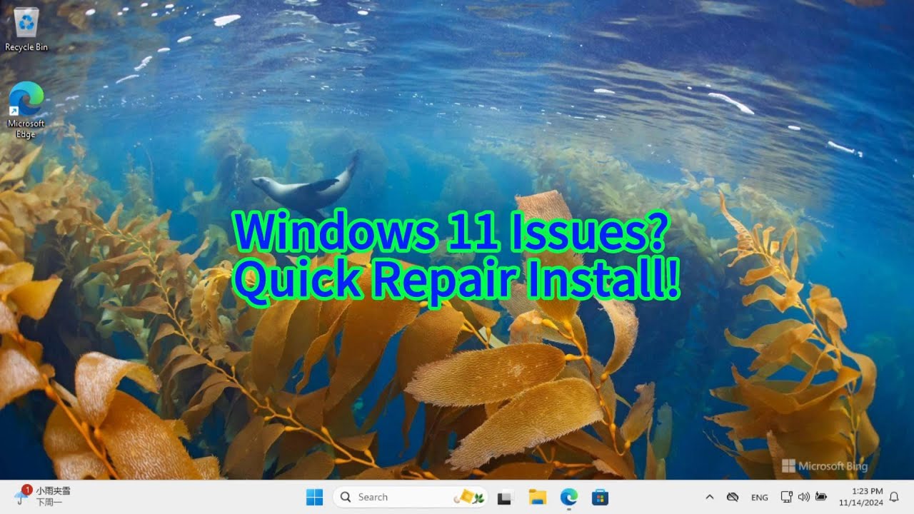 How to Fix Windows 11 System Errors Using Windows Update Repair Install