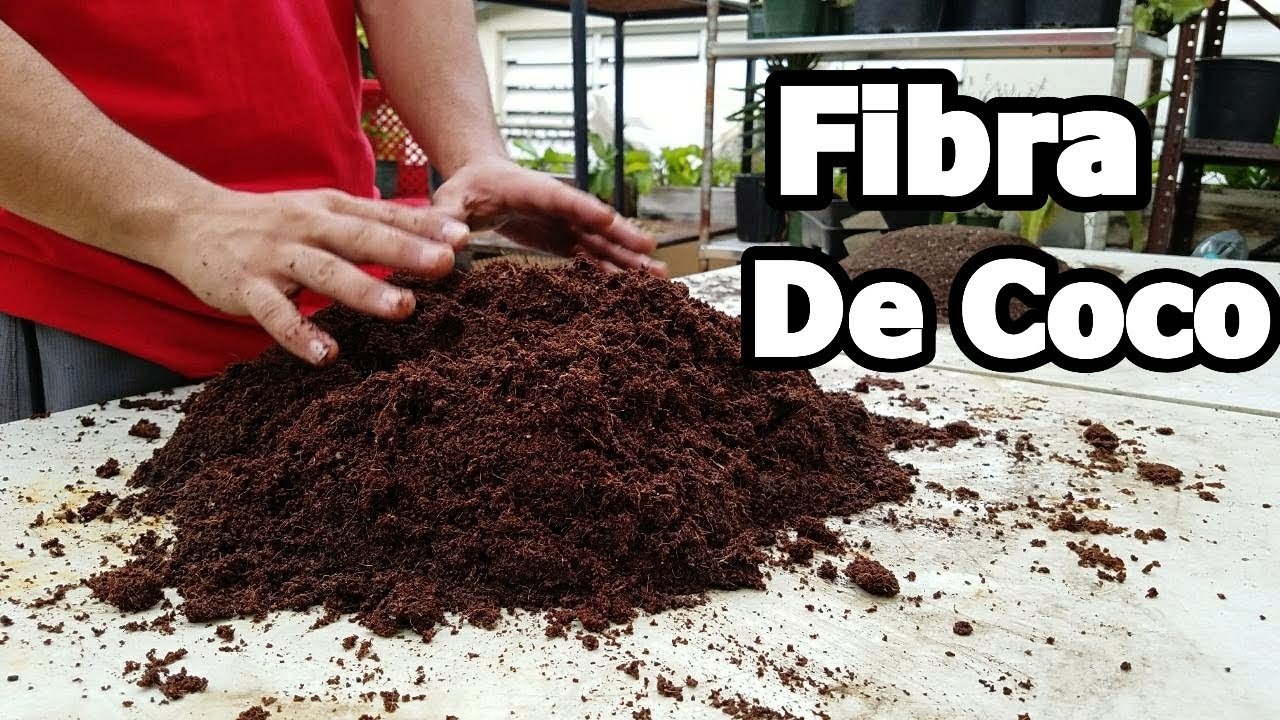 Fibra de coco un exelente sustrato para nuestras plantas