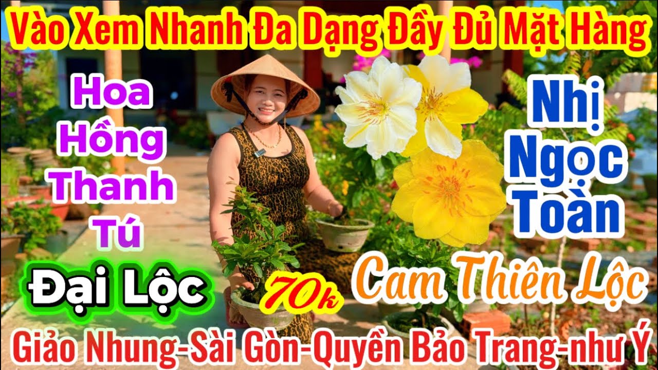 16/03☎️ 0326119500 ☎️🌴mai vàng giá rẻ 70k🌴giao lưu mã số-nhị Ngọc toàn-siêu bông bình lợi-giảo cam 