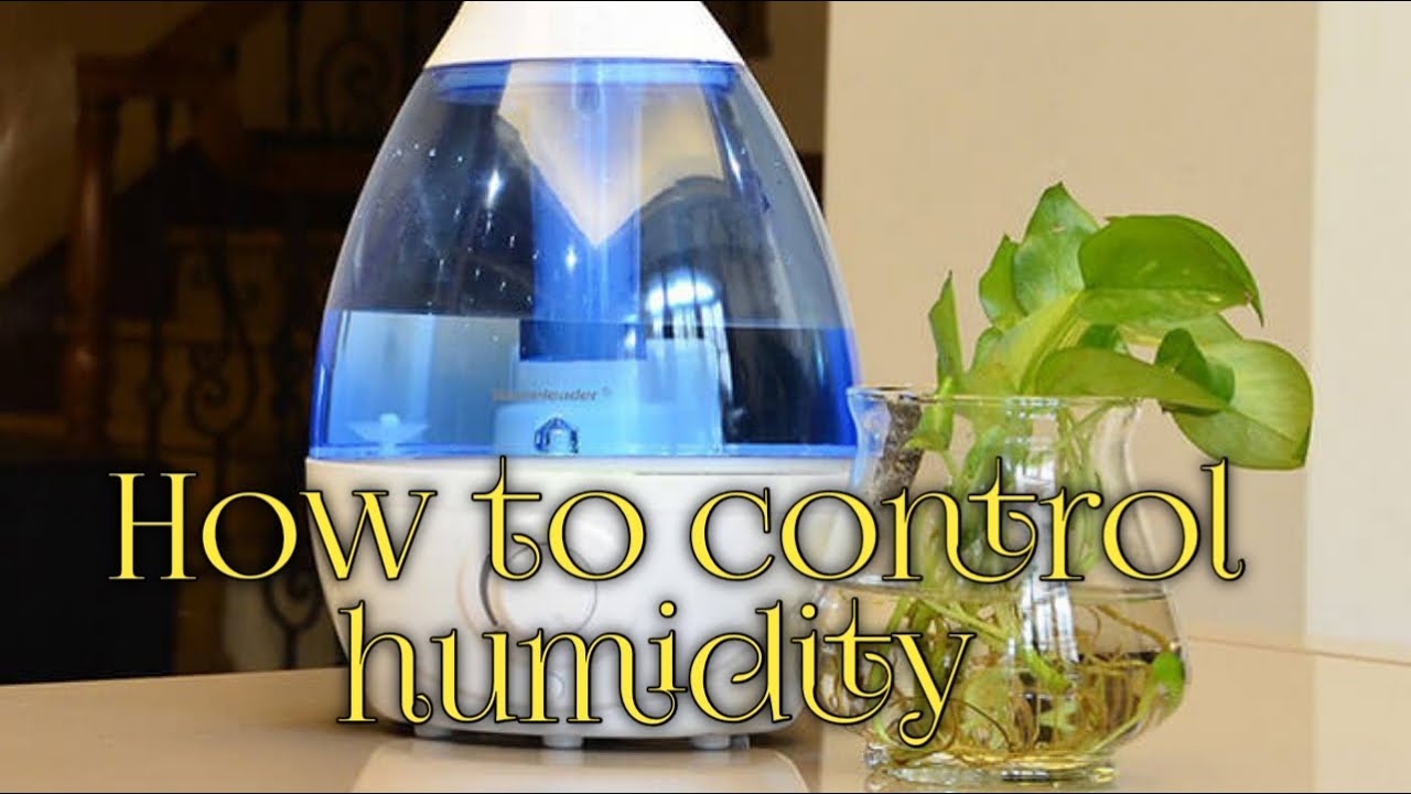 How to control humidity and temperature in birds room | birds health and care in summer |