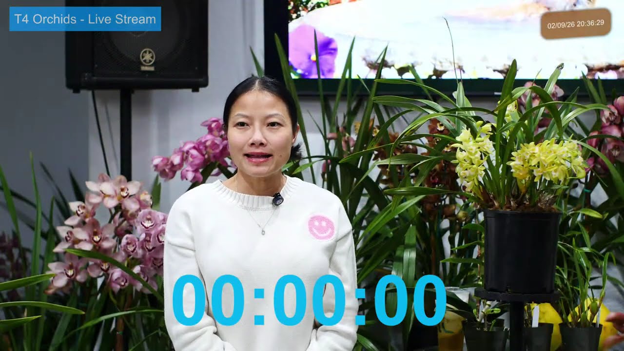 T4 Orchids ~ Livestream Feb 9, 2026  ~ Sell & Trade All Orchids Collections~ (714) 603-8000
