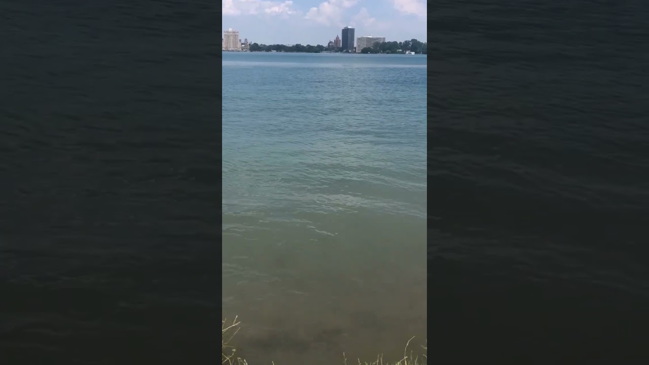 #waterviews