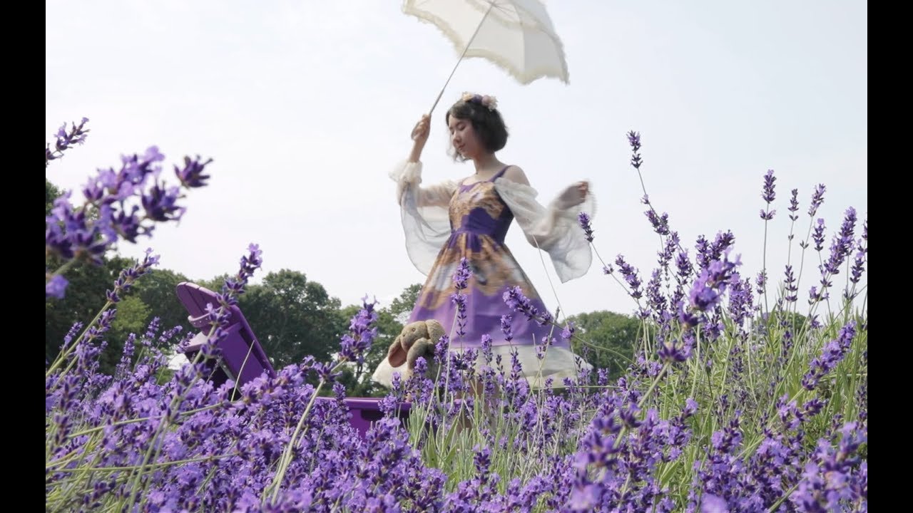 [LOLITA VLOG] Our Trip to Lavender Farm
